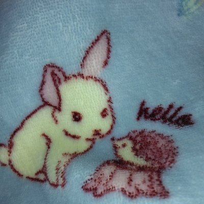 DgpiTb's profile picture. 