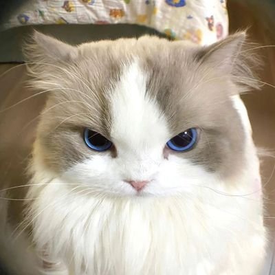 mbO1g5D9M3R9xrU's profile picture. 