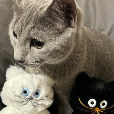 s_18funa's profile picture. 仙台→東京