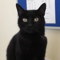 MickTheSuit (@parkroadlad) 's Twitter Profile