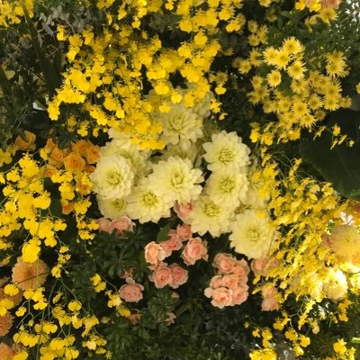 YNU都市科学部建築新1年生 #春から横国