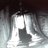 BellHillmorton's profile image