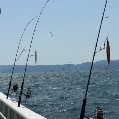日本海、大阪湾のオフショアメインで活動しています！！春は鰤ジギング、夏はイカメタル、秋冬はタチウオ、フグ、鰤、トンジギ等、色々魚種を変えて楽しんでいます😆ショアジギングもボチボチやっていますので、誰か誘ってください🙇‍♂️現在は30kg以上のマグロ、ブリのサイズアップの更新が目標です！！