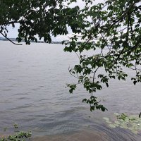 Jonathan (@jonath231) 's Twitter Profile