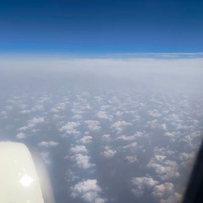 zhngy211227's profile picture. nulicaikeyishengli