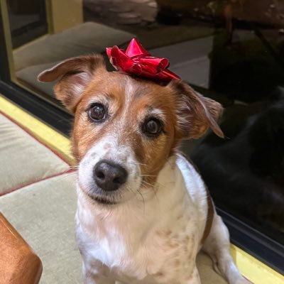 billsmithburg1's profile picture. rangers fan. jets fan, Red Sox fan, Harry hockey fan, Reagan fan, mortgage guy, can’t hate the media enough, dad