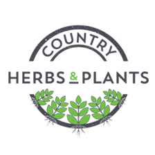 Specialist wholesale Potted Herb Nursery supplying premier UK garden centres nationwide. 200 Herb varieties in 9cm & 13cm pots. Wild Flowers & Strawberries.