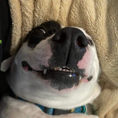 MegSova1990's profile picture. 