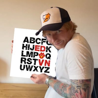 EdSheeranVN Profile Picture