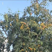 Hussain.. حسين ال زريع (@hussain11980120) 's Twitter Profile