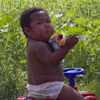 @Toto La BiBi (@totolabibi_129) 's Twitter Profile