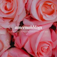 ameenahblogs(@ameenahblogs) 's Twitter Profile Photo