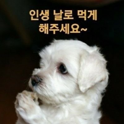 167/ 76/ 남  92
저의 여주인님은 어디에?(대구분이면 좋겠어요)
라인:  qkrdlsgh7777 친추 부탁드려요