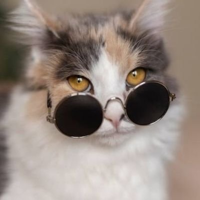 millo__19's profile picture. she/her