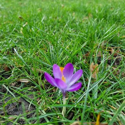 kunfeyekun07's profile picture. 🇹🇷                     🇹🇷