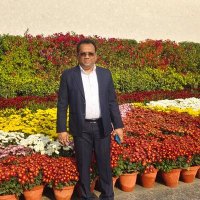 Swapan Majumder(@iswapanmajumder) 's Twitter Profile Photo