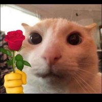 mabel (@smokinlikedi) 's Twitter Profile Photo