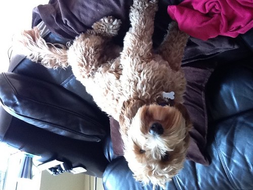 david_bath's profile picture. 