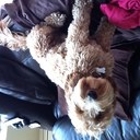 DavidBath - @david_bath - Twitter