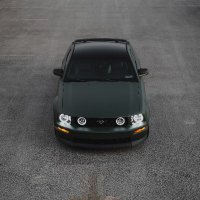 Blockchain Mustang (@onchains197) 's Twitter Profile Photo Blockchain Mustang (@onchains197) 's Twitter Profile Photo
