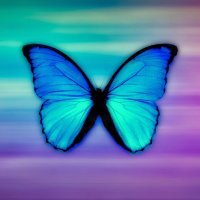 RighteousWink (@righteouswink) 's Twitter Profile