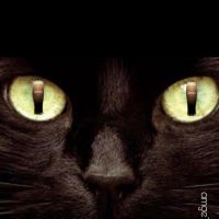 AMGE (@amgerecords) 's Twitter Profile Photo AMGE (@amgerecords) 's Twitter Profile Photo