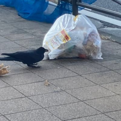 Fygk3Mh2X1ixAJP's profile picture. 文