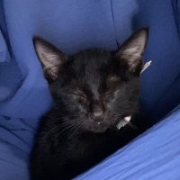 miyong (@mftaaaaaa) 's Twitter Profile