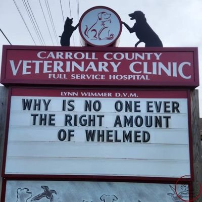 KantzM's profile picture. Alive and well. Opinions my own. Pragmatic peacenik. Tolerance unchecked leads to intolerence.