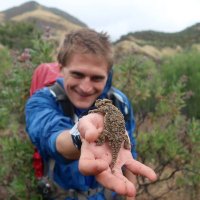 David Williams @ZoologyDave@sciencemastodon.com(@ZoologyDave) 's Twitter Profile Photo