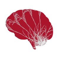 Stony Brook Department of Neurobiology & Behavior(@SBUNeurobiology) 's Twitter Profile Photo