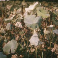 bkotowski (@bkotowski) 's Twitter Profile