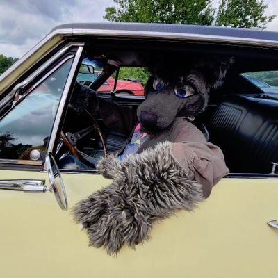 Just your average insane crazy wolf. I run with the underground and avoid the mainstream of Twatter. if you choose to accept this mission. O Doyal rules!