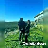 moanchalotte's profile picture. Hi guys, I’m Matilda 🐶 My mummy is chiaraferragni