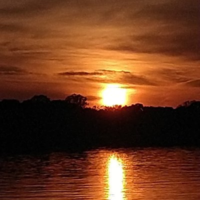 RayRebis's profile picture. Truth seeker, Truth speaker.