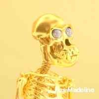 sosemadalinee's profile picture. A disciple of blockchain, preaching a future of decentralization