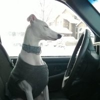 DaKnAK (@aknameless) 's Twitter Profile