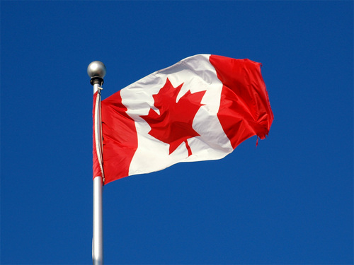 Enquanto Luiza não volta do Canadá, várias marcas brasileiras aproveitam a frase que virou hit na internet  http://t.co/8fhdTym18u