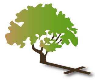 Parkview Baptist Profile