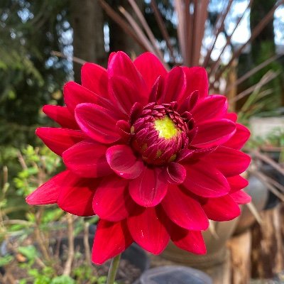 MrSailstone's profile picture. 