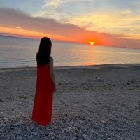 m🐈 (@m861937) 's Twitter Profile