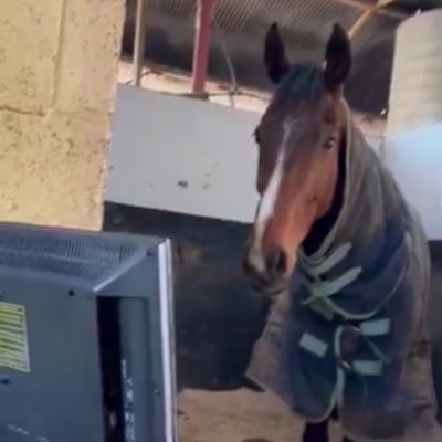 okayKoke's profile picture. 