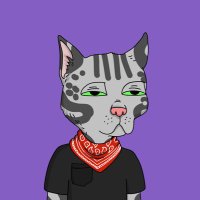 BradMyManTrezzz (@bradmunnings) 's Twitter Profile