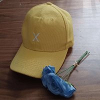 BáiYù (@baiyu_dev) 's Twitter Profile