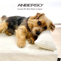 アンベルソ|ANBERSO (@anberso_info) 's Twitter Profile