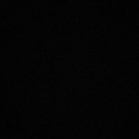 . (@wolfofshitcoin) 's Twitter Profile