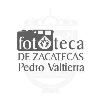 FototecaZac Profile Picture