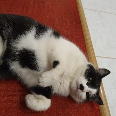 SadeBuzluViski's profile picture. Red Label