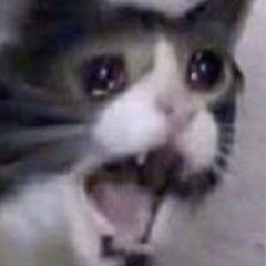 WeWebsling74645's profile picture. 