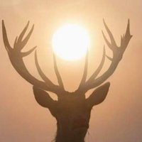 Lance Goodthrust (@sirgoodthrust) 's Twitter Profile